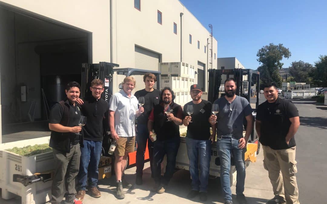 2019 Ideal Harvest Complete — All Fruit in Winery Prior to Wine Country Fires!