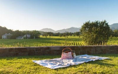 Great Places to Picnic in Napa Valley