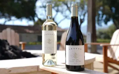 Napa Valley Wine Tasting Cost: Average Fees and Budget Tips