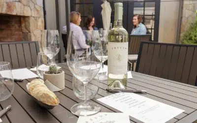 Unique Wine Tasting Experiences Napa Visitors Can’t Miss