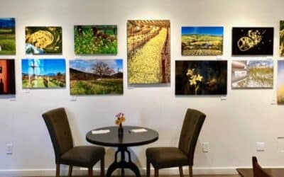 Beyond Wine: The Most Beautiful Wineries in Yountville with Art