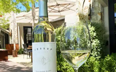 2022 Sauvignon Blanc Release