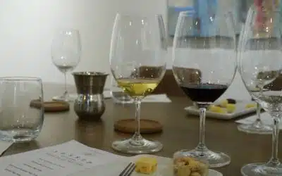 Your First Time in Napa: A Practical Guide to Wine Tasting