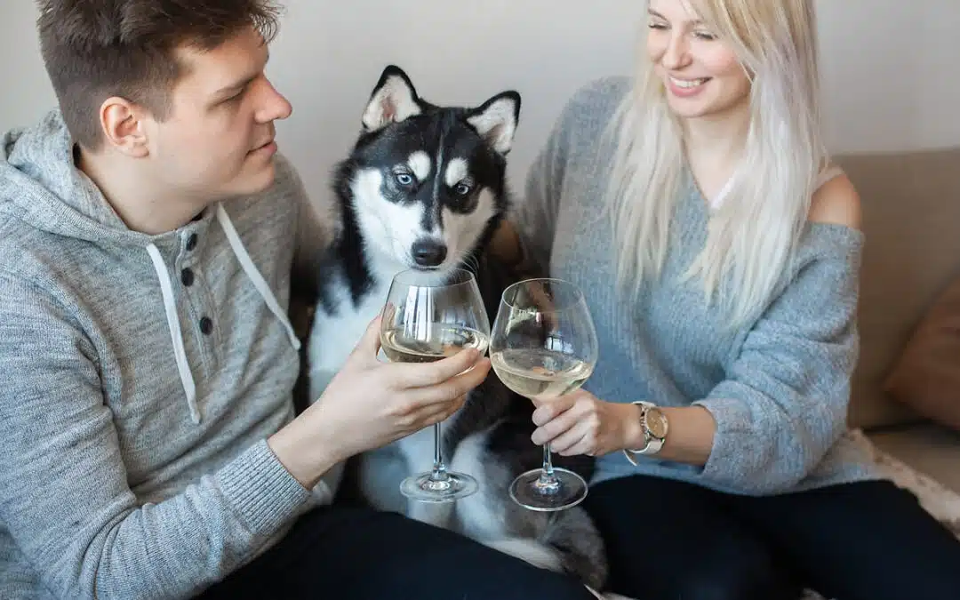 dog sitting between two people holding wine glasses