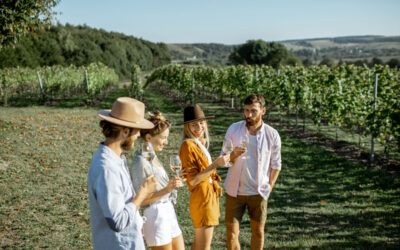 Best Times to Visit Napa Valley for Wine Tasting