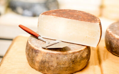 A New Pairing Experience: Jessup Cellars & Fiscalini Farmstead